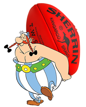 Obelix with Sherrin Footy 9s